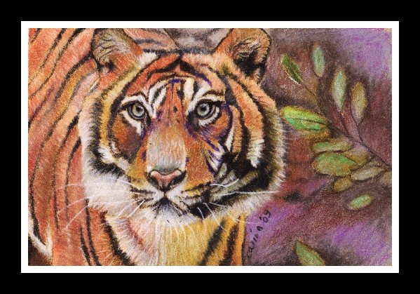 nc art orig cp tiger 