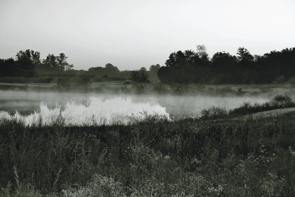 smoke on the water1