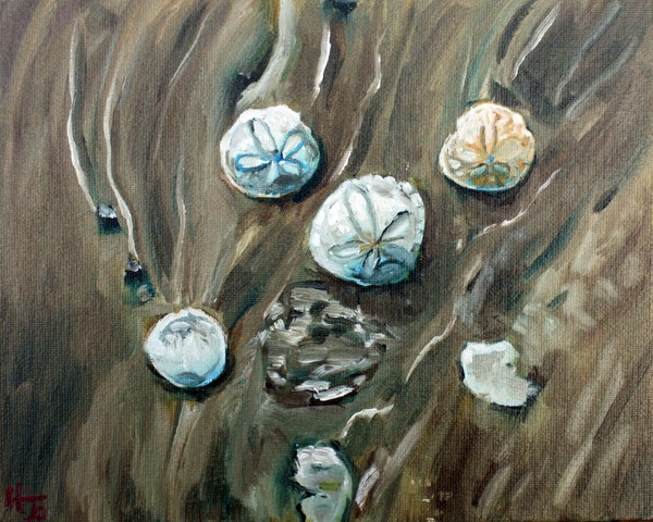 Sand dollars and sand swirls