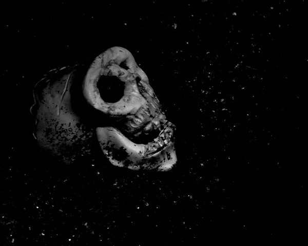 skull