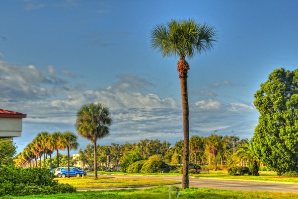 MacDill AFB Tampa Fla.