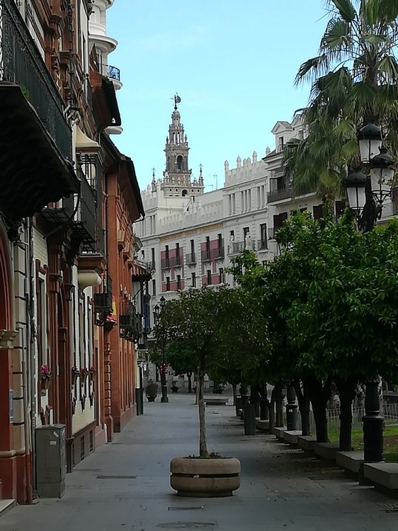 IMG 20200321 092417