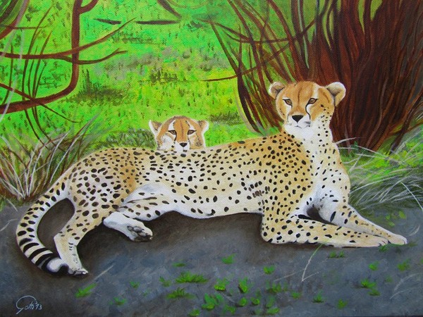 Resting Cheetah