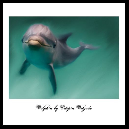 Dolphine 