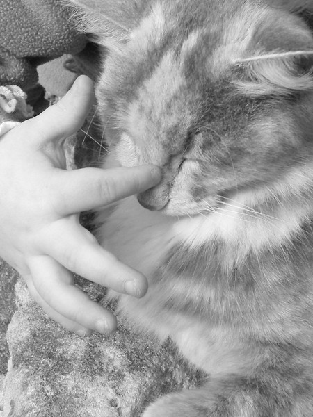 Gentle Touch