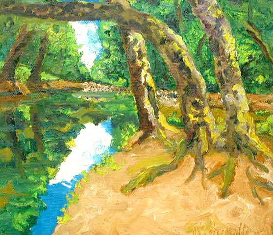 The South Patapsco River