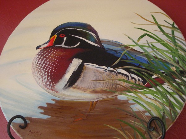Wood Duck