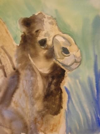 The Camel