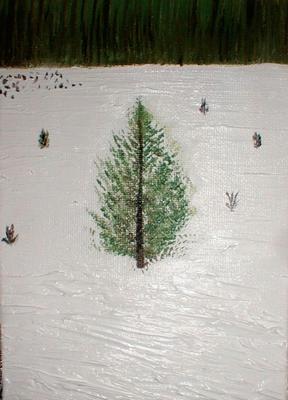 Colorado Tree