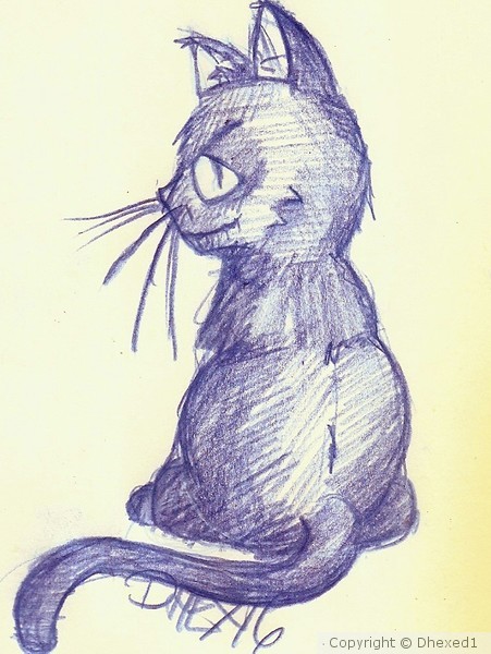 That Cat