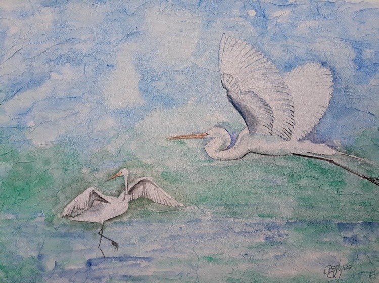 No Egrets