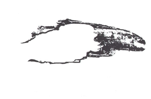 ink drawing 13