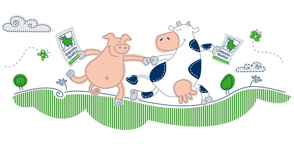 Pig with cow