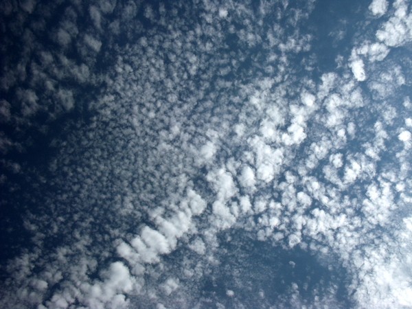 Cloud spree 5