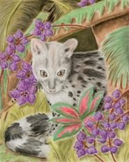 Genet