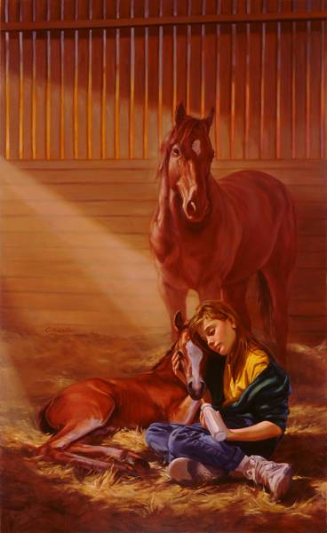 A Horse Called Wonder