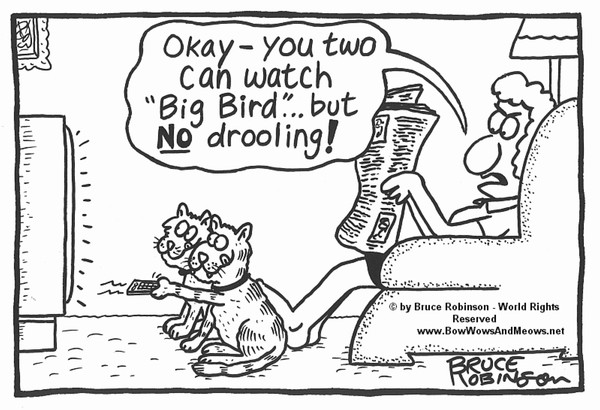 BOW WOWS & MEOWS® CAT Cartoon - 