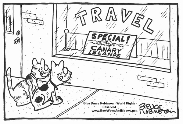 BOW WOWS & MEOWS® CAT Cartoon - SPECIAL!-Canary...
