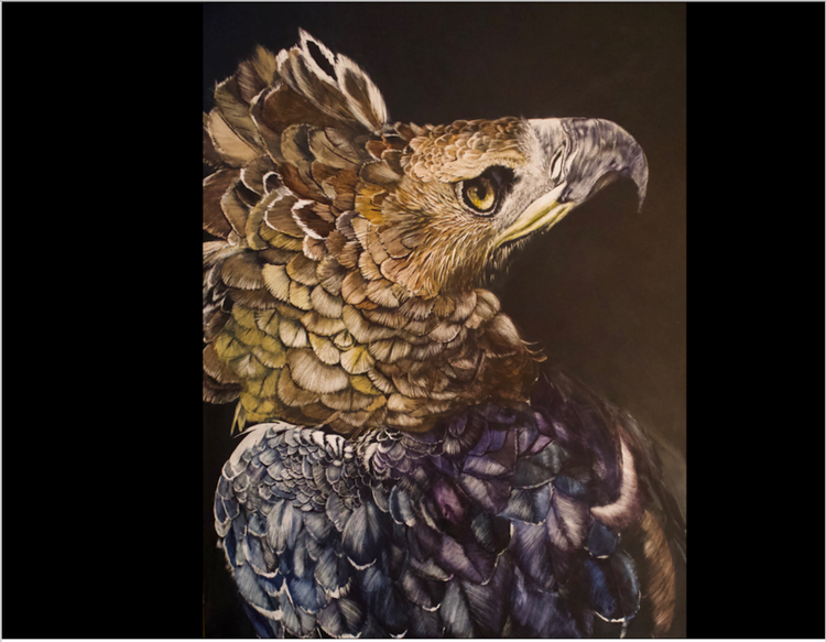 Eagles of the World 2021 Calendar - African Crowned Eagle