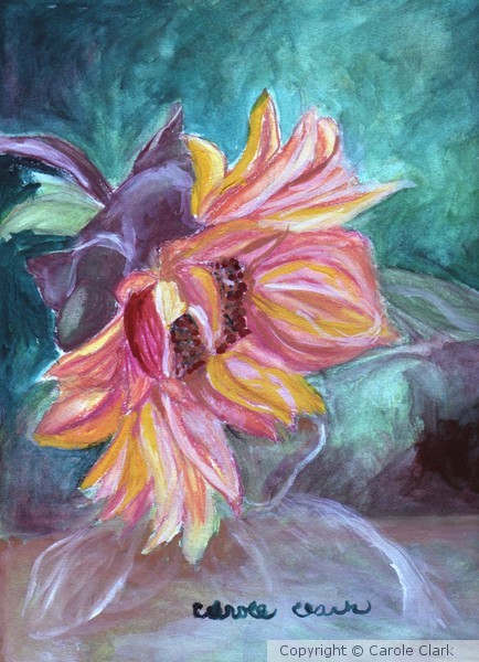 Kansas Sunflower