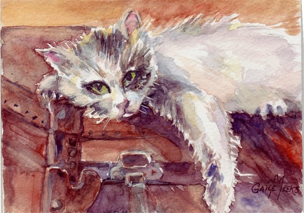 kitty white