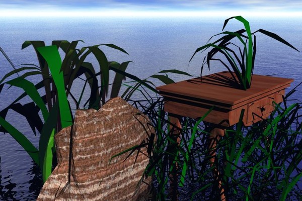 Image3