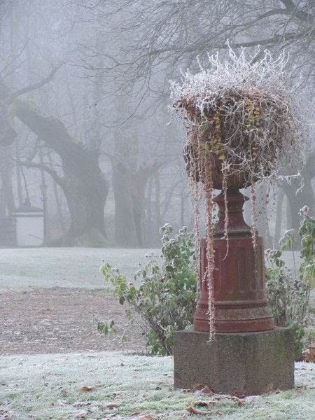 Frost Pot
