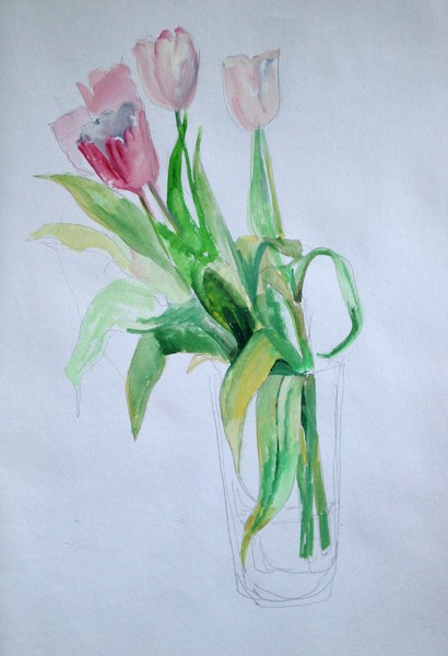 tulips