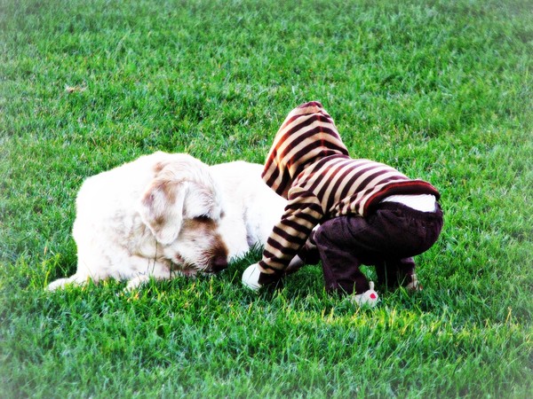 Pals
