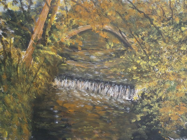 jesmond dene