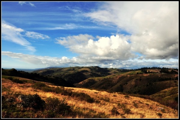 Coleman Valley Rd, California