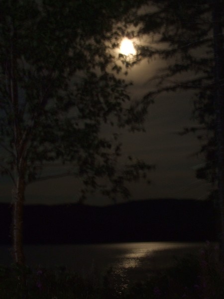 Moonlight on Massey Drive Pond