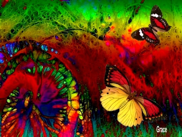 Dance of the Butterflies