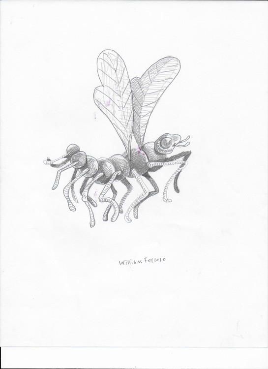 42- Bug IV 001