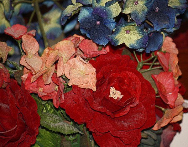 Still Life 1