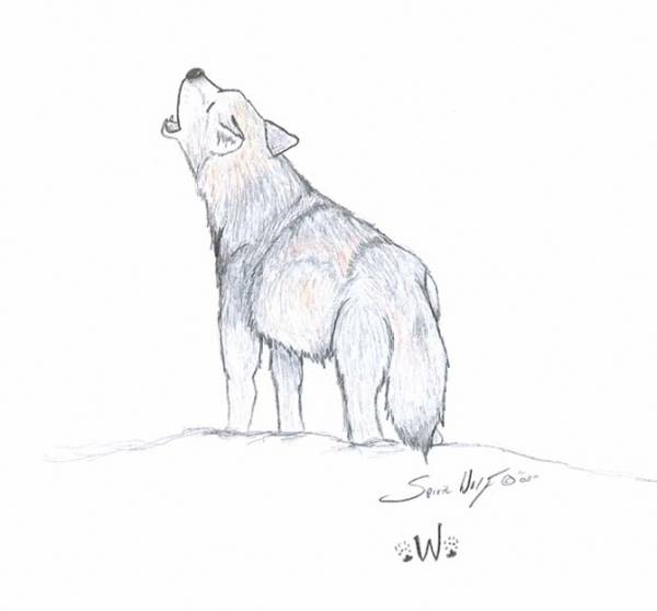Howling Wolf