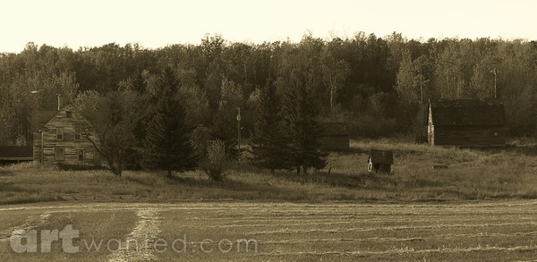 The Old Homestead
