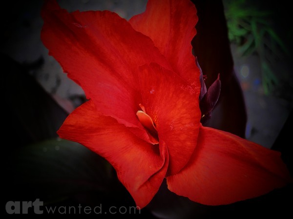 RED FLAME