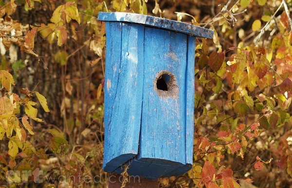 AS FOR ME AND MY HOUSE
