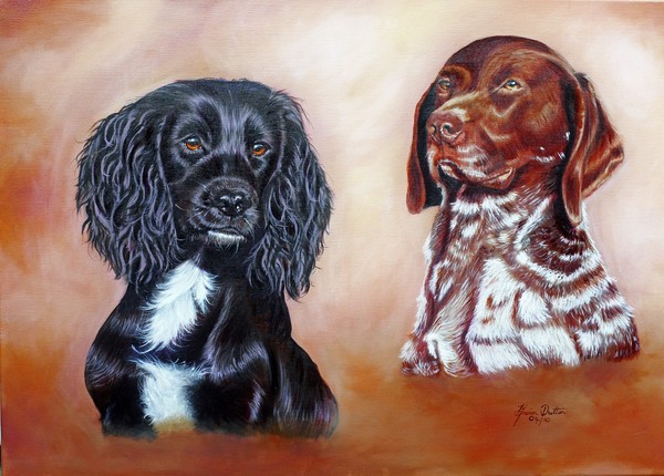 Commission a pet portrait an original oil painting