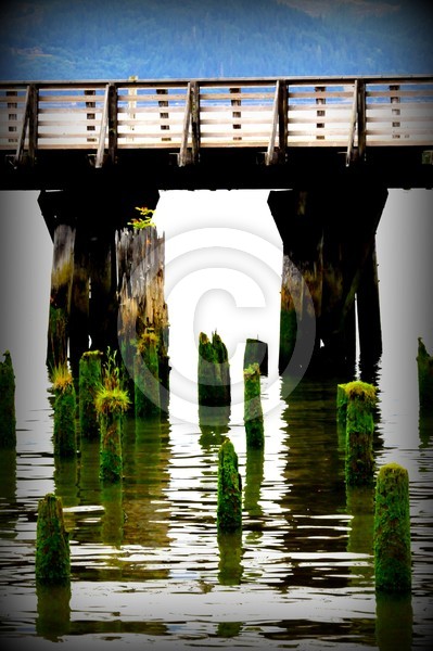 'Pier Pressure' Astoria, OR
