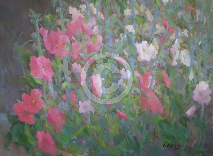 Hollyhocks IV
