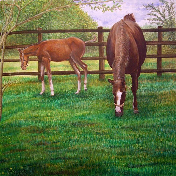 Horse & Pony 2