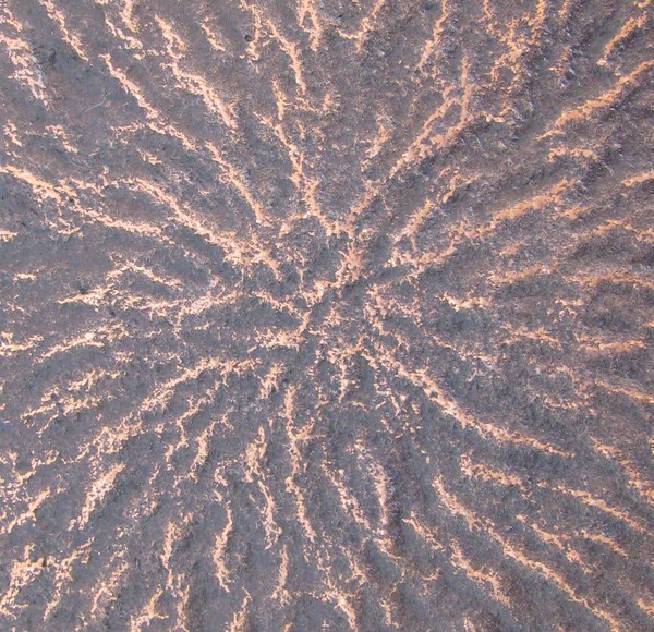 160mm dish detail