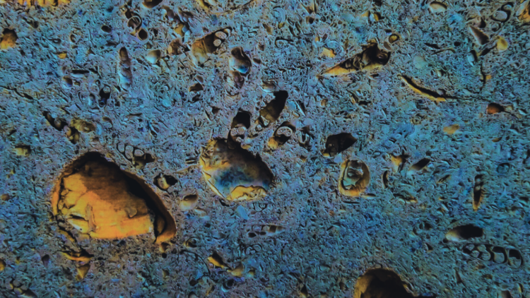 Cement and Shells