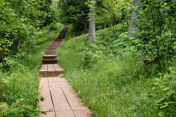 The Path Ahead