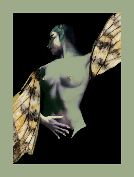 madam butterfly
