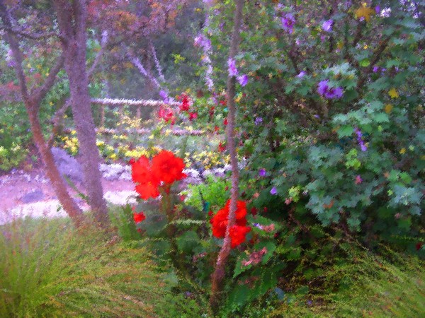 The flower garden