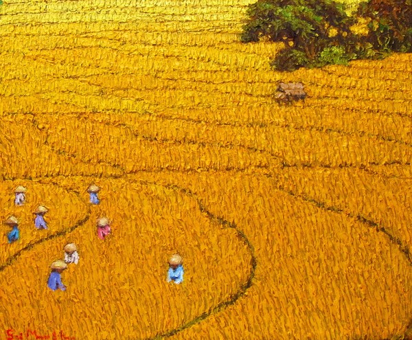 Harvest 10