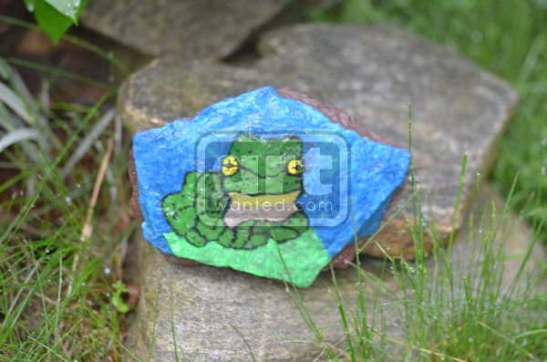 Frog Painting On A Rock